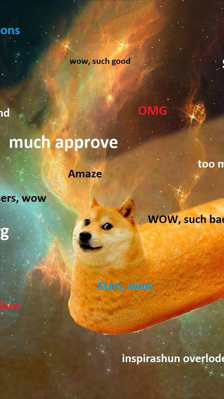 7 Doge Meme, 좋은 밈 HD 전화 배경 화면 | Pxfuel
