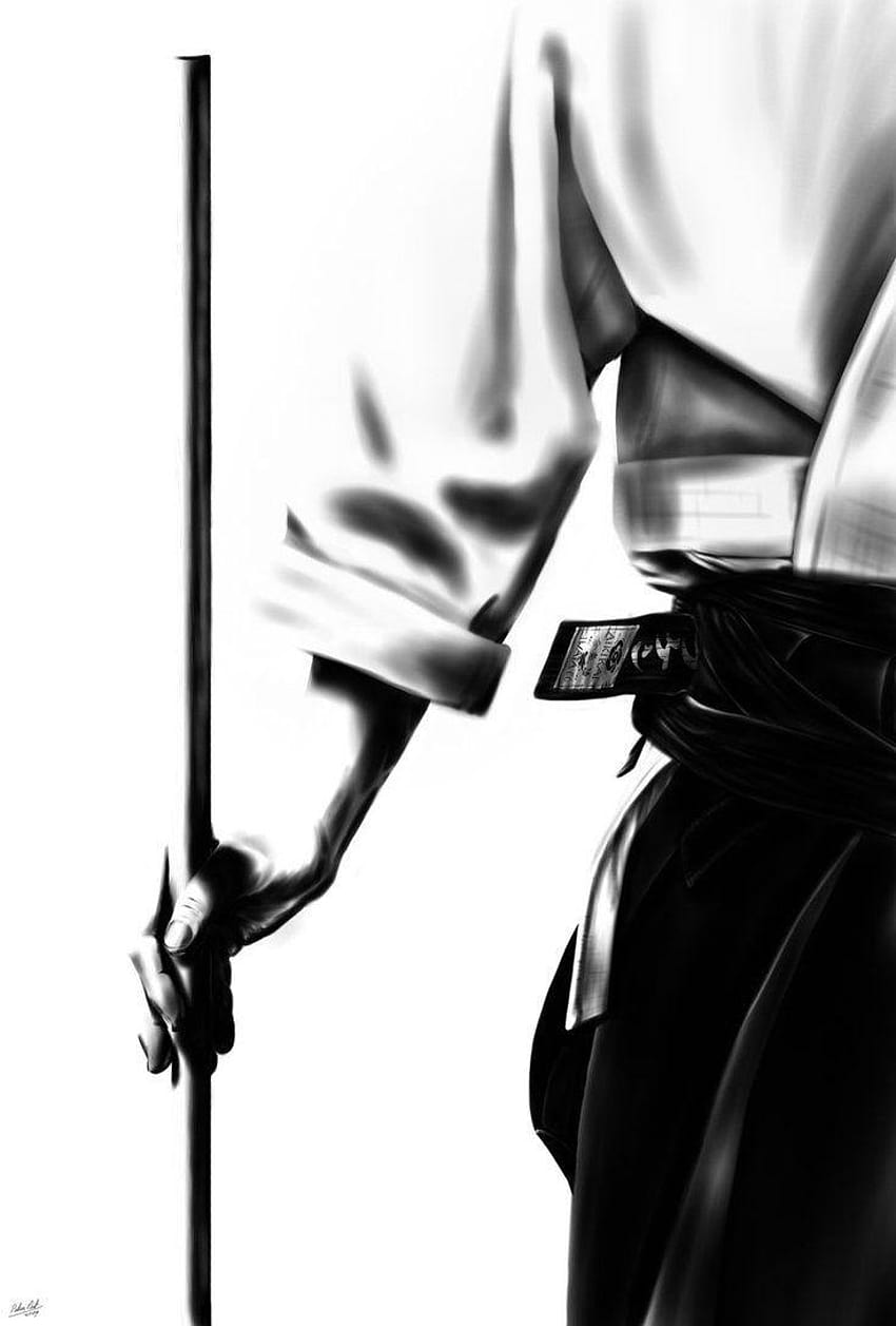 498 best Aikido HD phone wallpaper