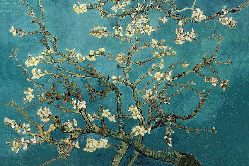 Almond Branches by Van Gogh Wall Mural, van gogh blossom HD wallpaper