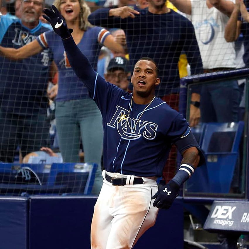 Wander Franco: MLB top prospect is already impressing with Rays HD phone  wallpaper