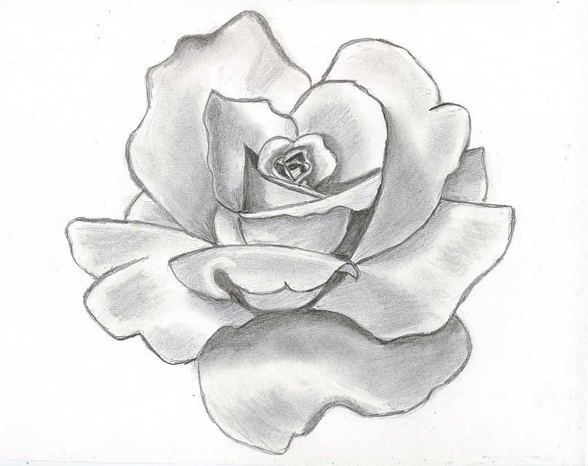 how to draw a rose  rose drawing easy  beautiful rose drawing step by  step