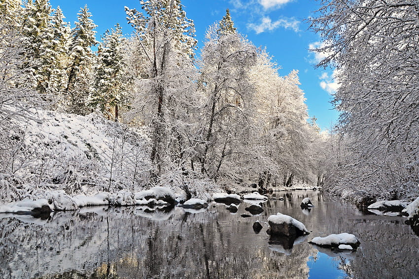 Winter river trees forest landscape reflection, winterscapes HD wallpaper