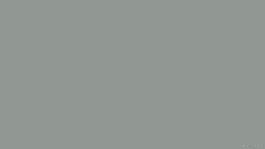 4 Solid Gray, plain gray HD wallpaper