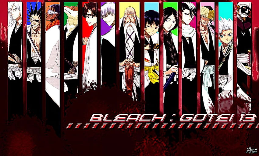 2 Bleach Anime, bleach pc HD wallpaper | Pxfuel