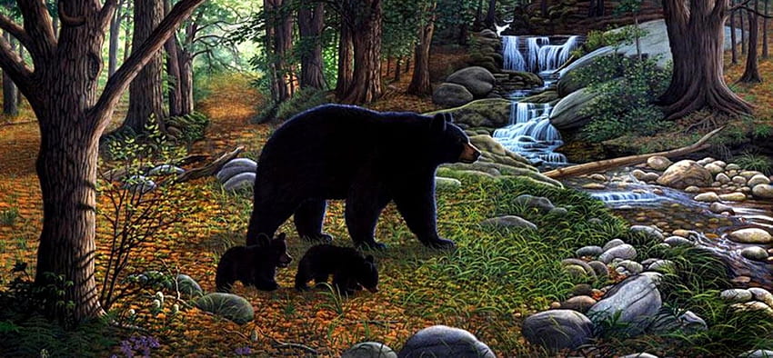 autumn black bear HD wallpaper