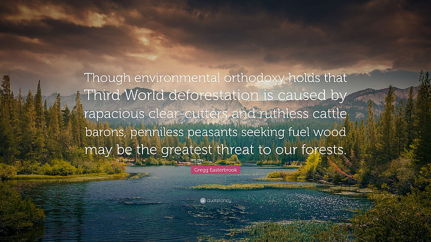 Gregg Easterbrook Quote: “Though environmental orthodoxy holds, deforestation HD wallpaper