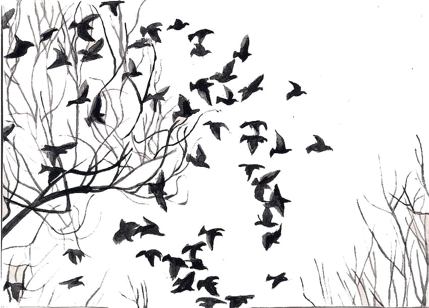 Black And White Birds Black Birds Are Dark Thoughts HD wallpaper