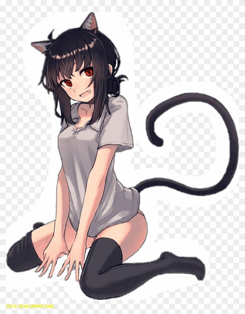 Neko Sticker – Anime Cat Girl Png, Transparent Png – 14×14 .., neko anime ps4 HD тапет за телефон
