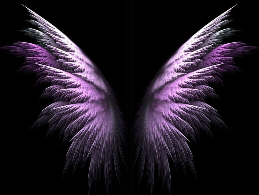 Purple Angel Wings For com [1200x900 HD wallpaper