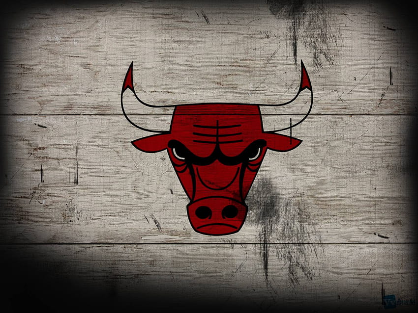 Chicago Bulls 3D 7, niebieskie byki Tapeta HD