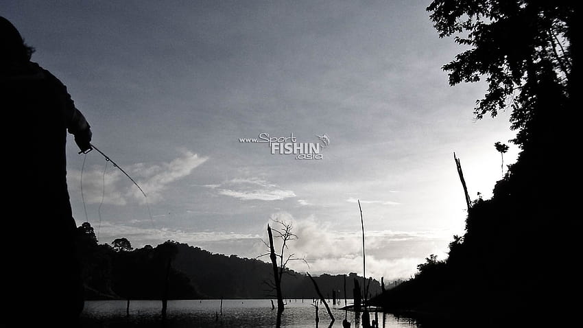 Fishing : Casting into the Sunrise, shimano HD wallpaper
