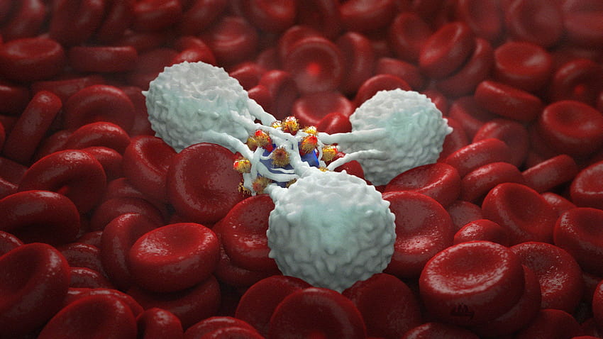 Immunität, Immunsystem HD-Hintergrundbild