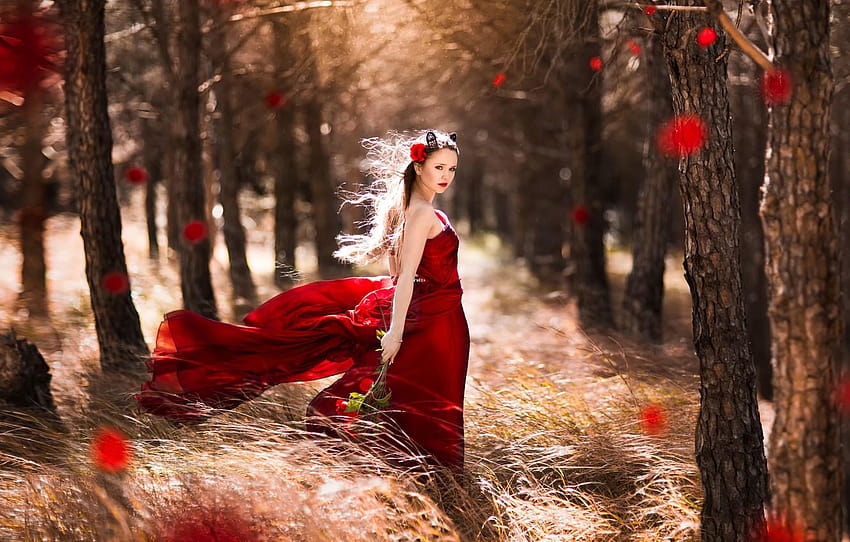 forest, girl, the wind, roses, dress, in red, little girl forest HD wallpaper