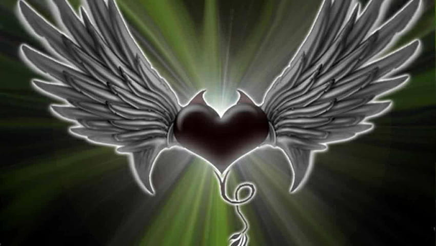 200 Beautiful Wings Inspiration, heart wing HD wallpaper