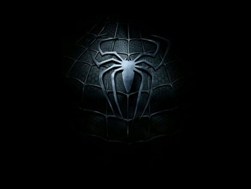 Black Spiderman, spiderman black and white HD wallpaper