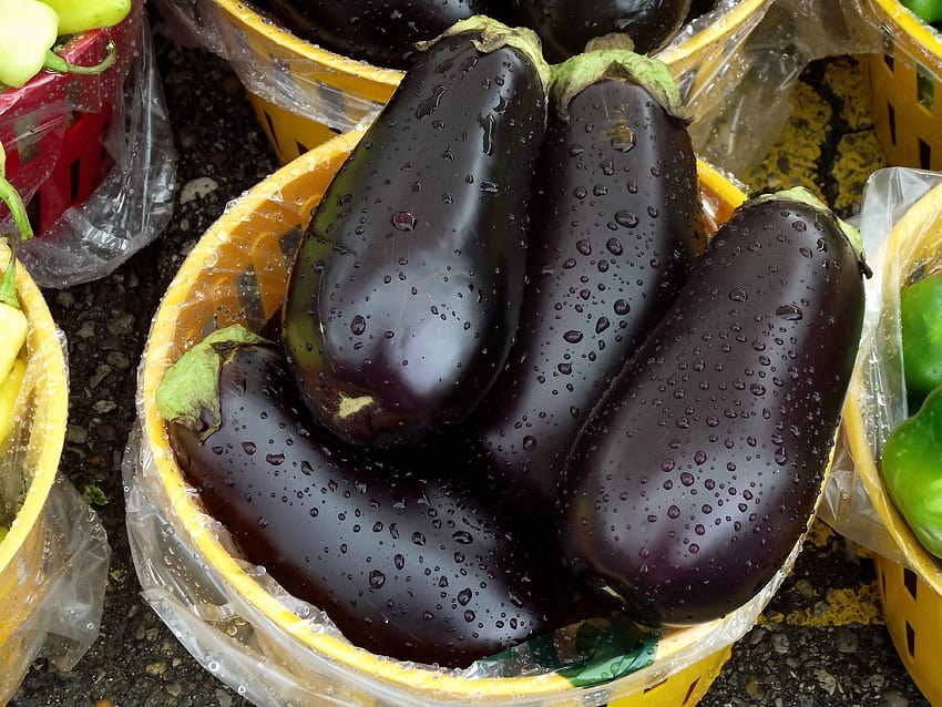 Eggplant High Quality, aubergines HD wallpaper