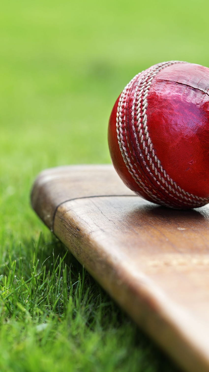 Bola de críquete vermelha no bastão de críquete, bastão de críquete e bola Papel de parede de celular HD