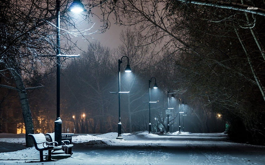 6 Snowy Park, winter evening park HD wallpaper