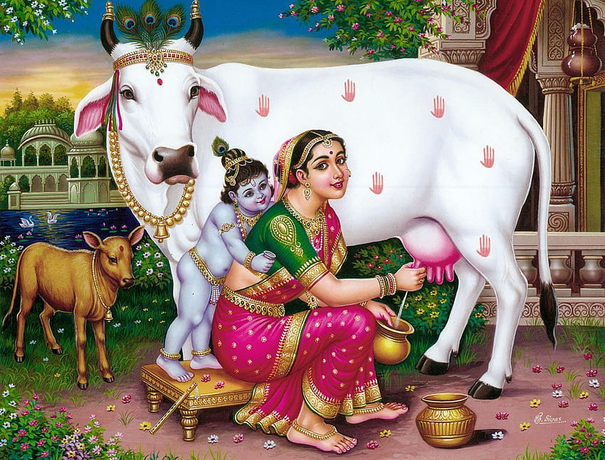 Krishna Watching Yashoda Milching Cow HD wallpaper