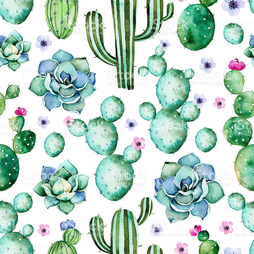 Pola mulus dengan tanaman kaktus cat air, sukulen royalti, estetika kaktus cat air wallpaper ponsel HD