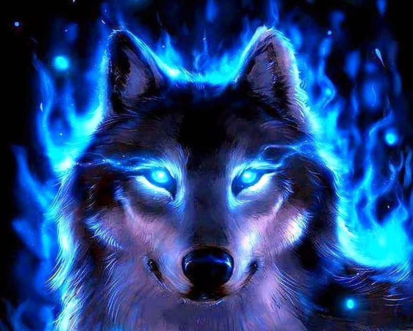 Cool Blue Wolf, loups bleus Fond d'écran HD