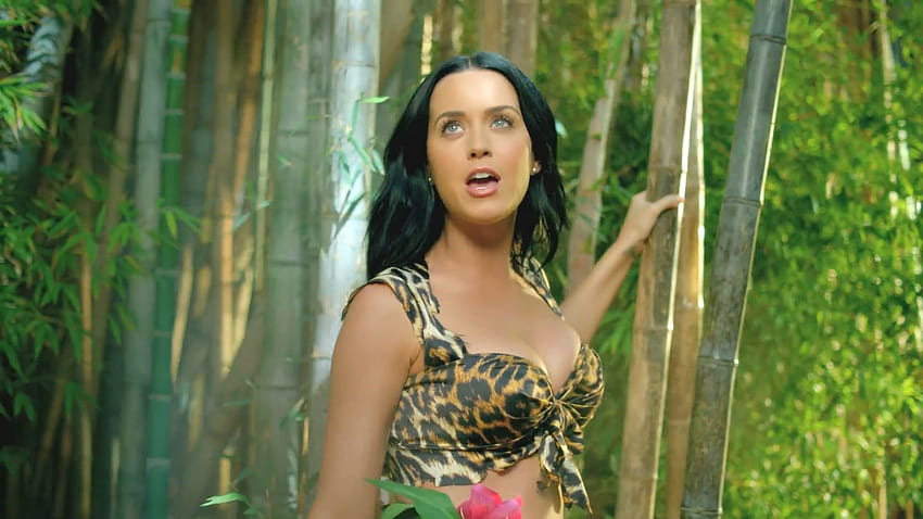 Katy Perry dans Roar :bave: :baiser: sur le forum Blabla 18, katy perry roar HD wallpaper