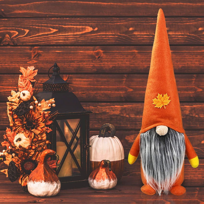 Buy Fall Thanksgiving Gnome Plush, thanksgiving gnomes HD phone wallpaper