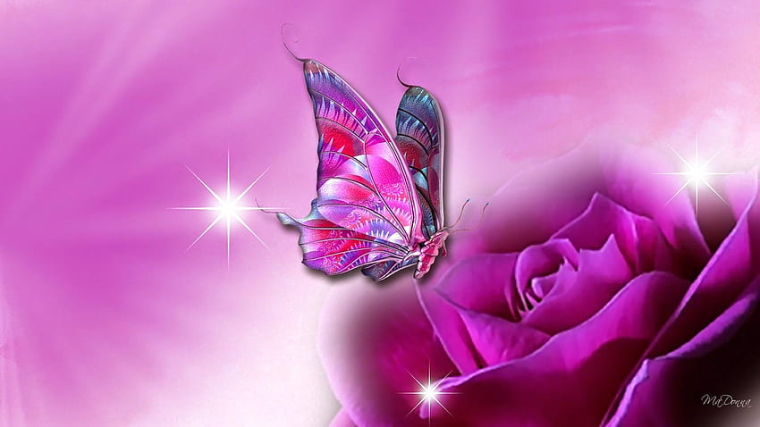 Pink Butterfly On Purple Flower Pink And Purple Flowers Hd Wallpaper