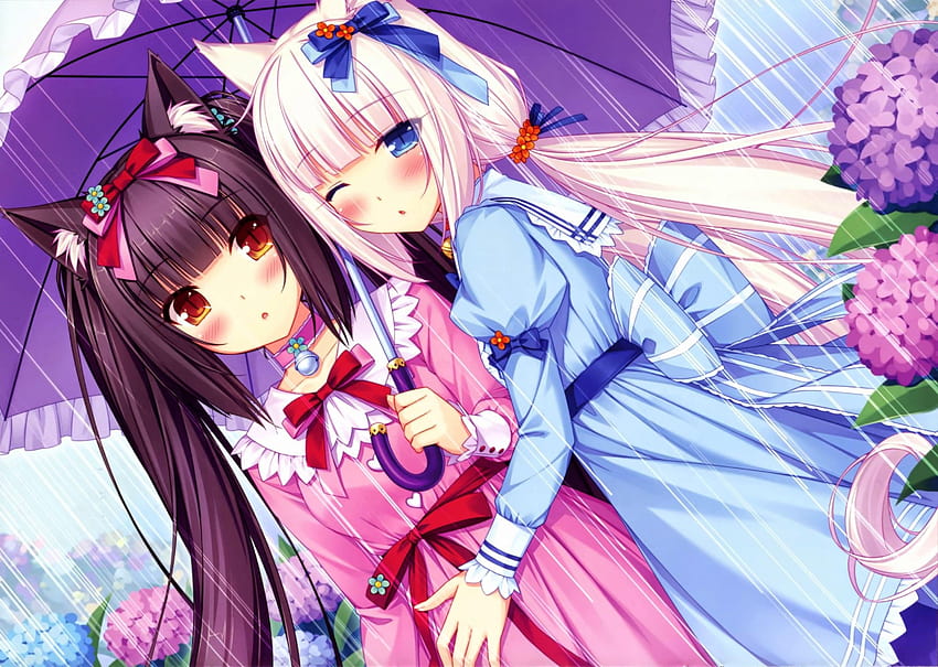 Two girlfriends under umbrella Anime Neko Para and HD wallpaper