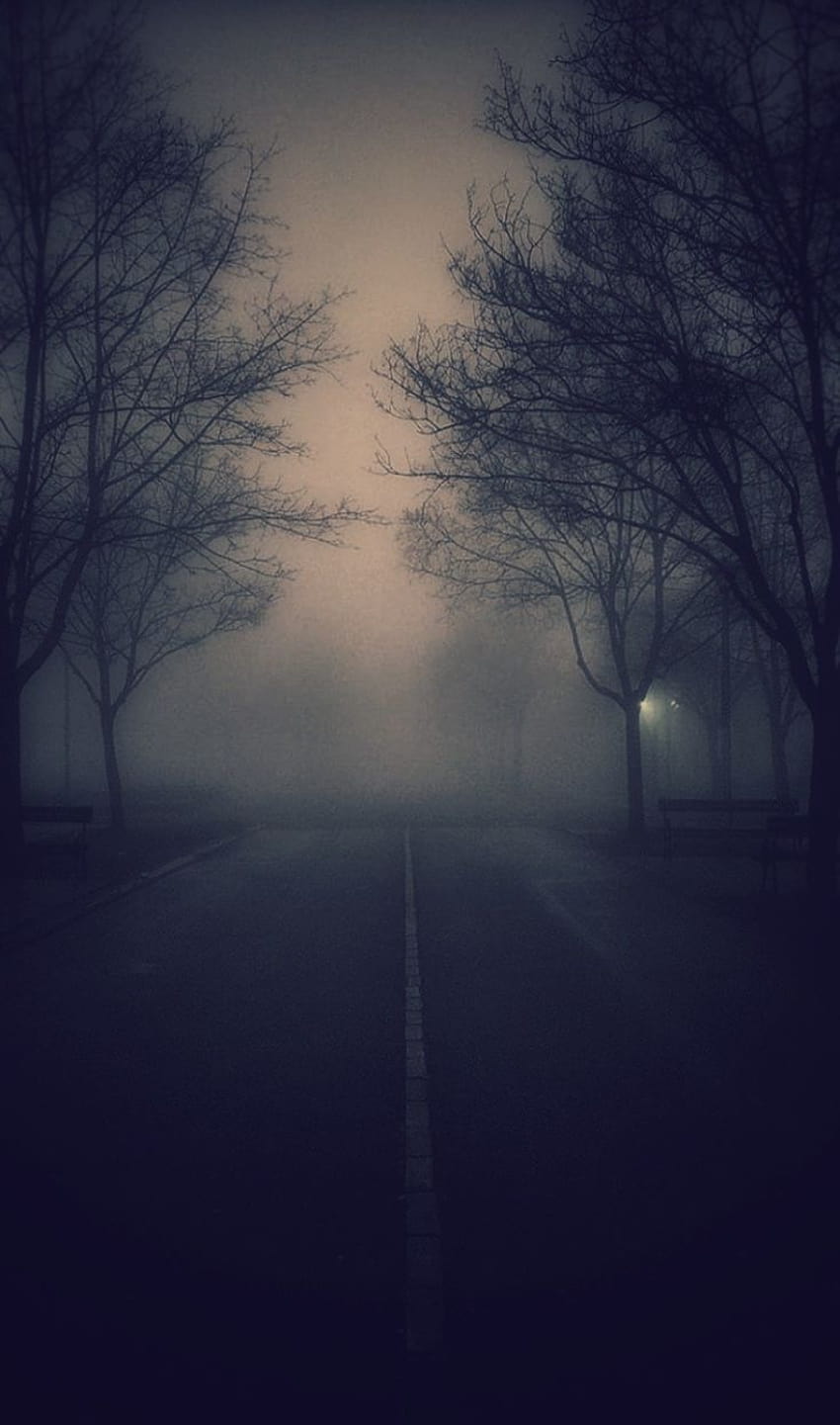Into The Unknown, foggy road HD phone wallpaper