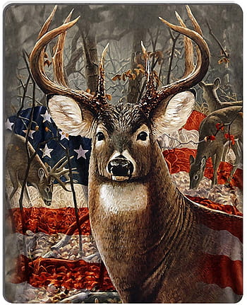 Download An upclose view of a buck in its natural habitat Wallpaper   Wallpaperscom