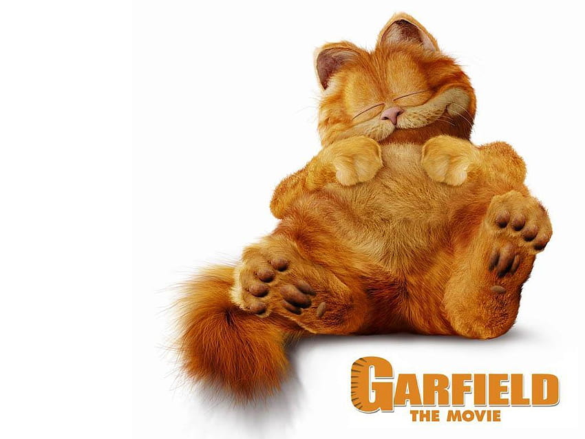 Garfield Movi , Backgrounds, garfield movie HD wallpaper