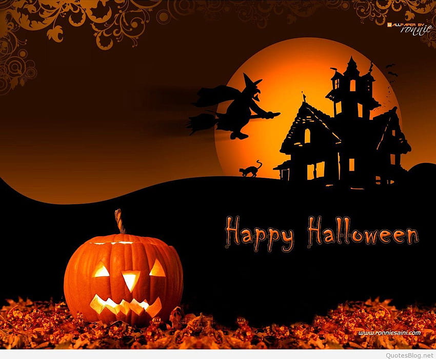 Cute Halloween , 2015 2016, halloween orange and black HD wallpaper