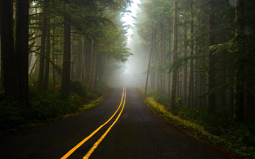 : слънчева светлина, гора, тъмен, природа, път, зелен, сутрин, мъгла, светлина, дърво, есен, мъгла, листо, време, тъмнина, гориста местност, среда на живот, естествена среда, атмосферно явление, дървесно растение 1920x1200, тъмен път с мъгла HD тапет