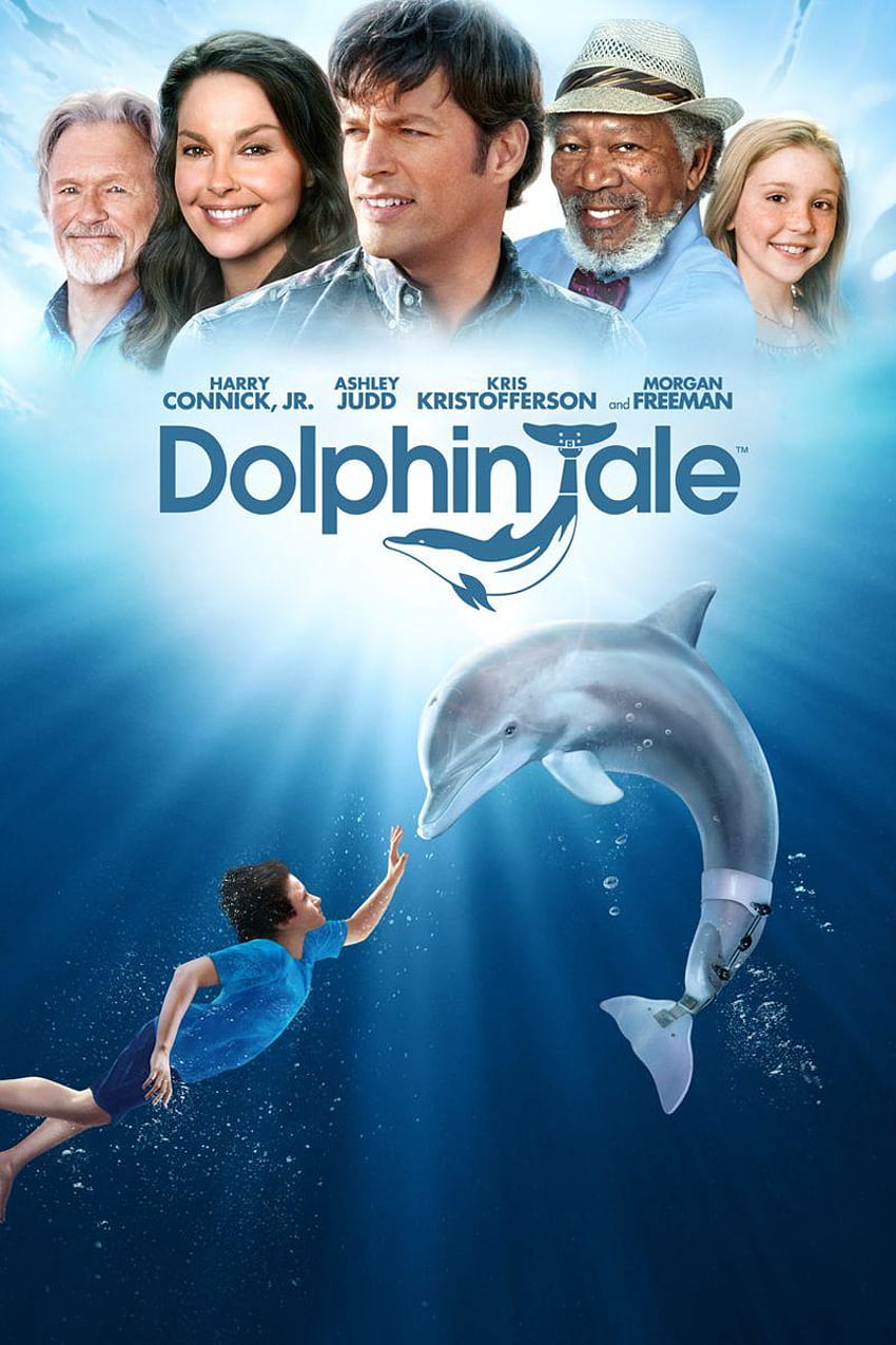 368271, dolphin tale HD phone wallpaper | Pxfuel