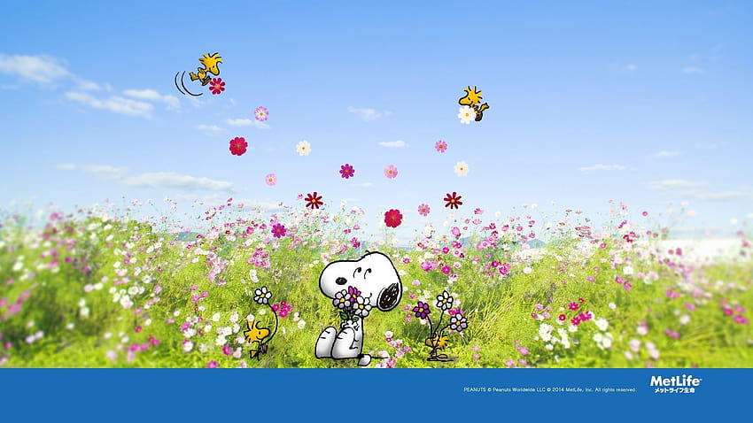 5 Snoopy Spring, cacahuetes de primavera fondo de pantalla