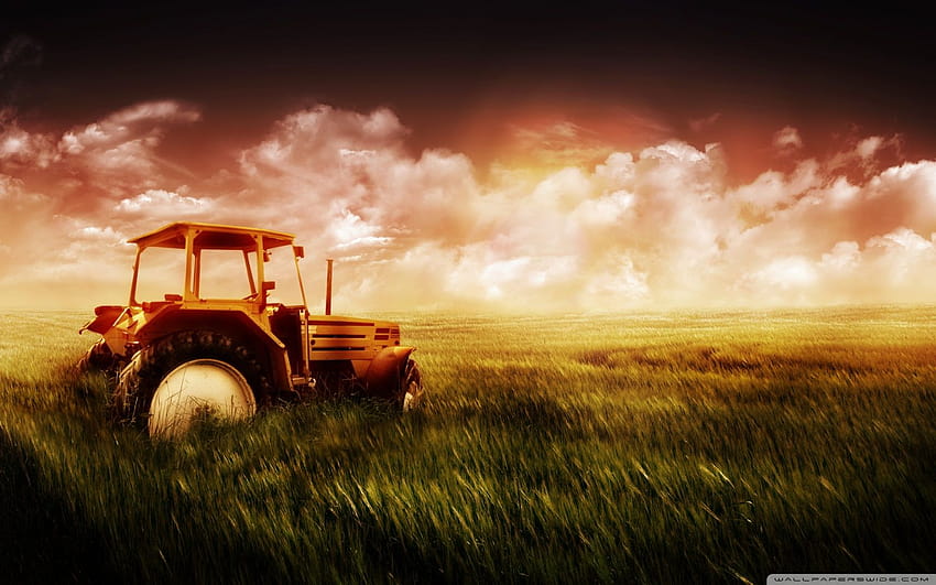 Tractor in Field Ultra Backgrounds for, agro HD wallpaper