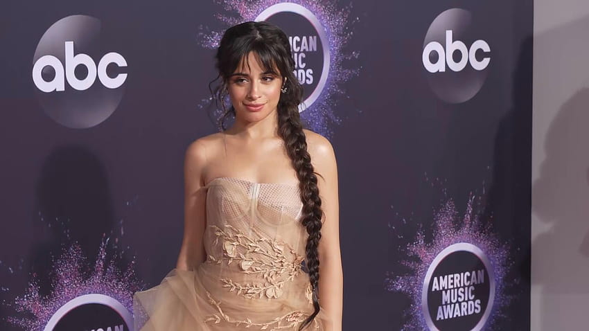 Camila Cabello Looks Heavenly in Ethereal Tulle Gown at 2019 American Music Awards, camila cabello american music awards HD wallpaper