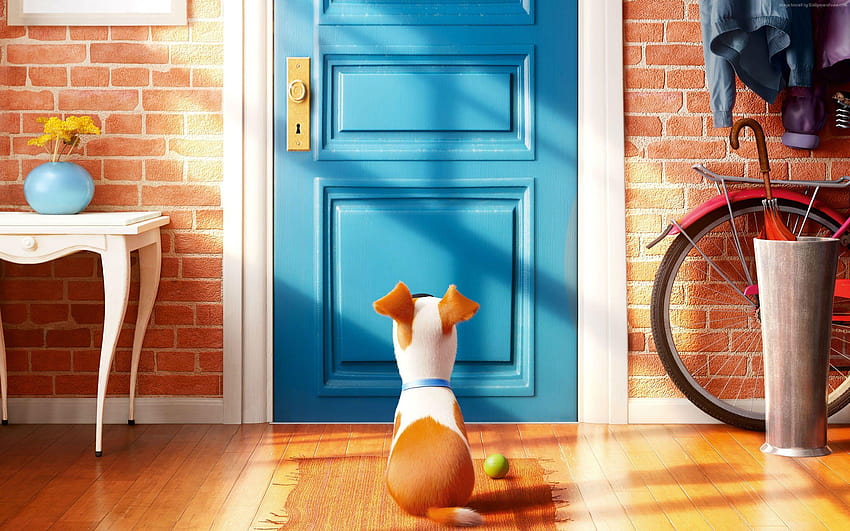 Kehidupan Rahasia Hewan Piaraan, Film Animasi Terbaik 2016, film pertunjukan anjing Wallpaper HD