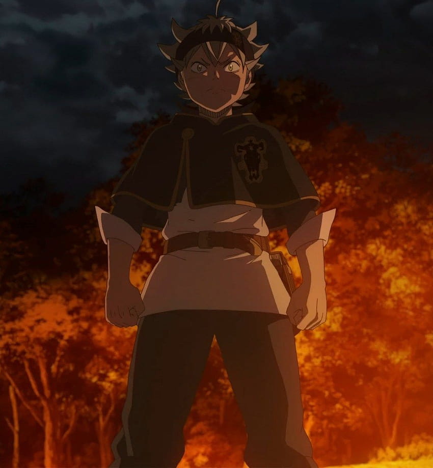 Black Clover Episódios 05 e 06, touros negros HD phone wallpaper