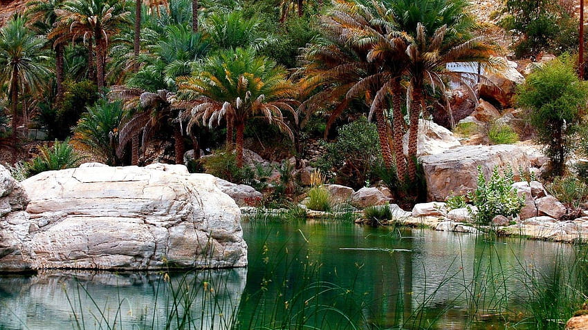 오만 태그 : Wadi Bani Khalid Oman Beautiful Pool Waters HD 월페이퍼