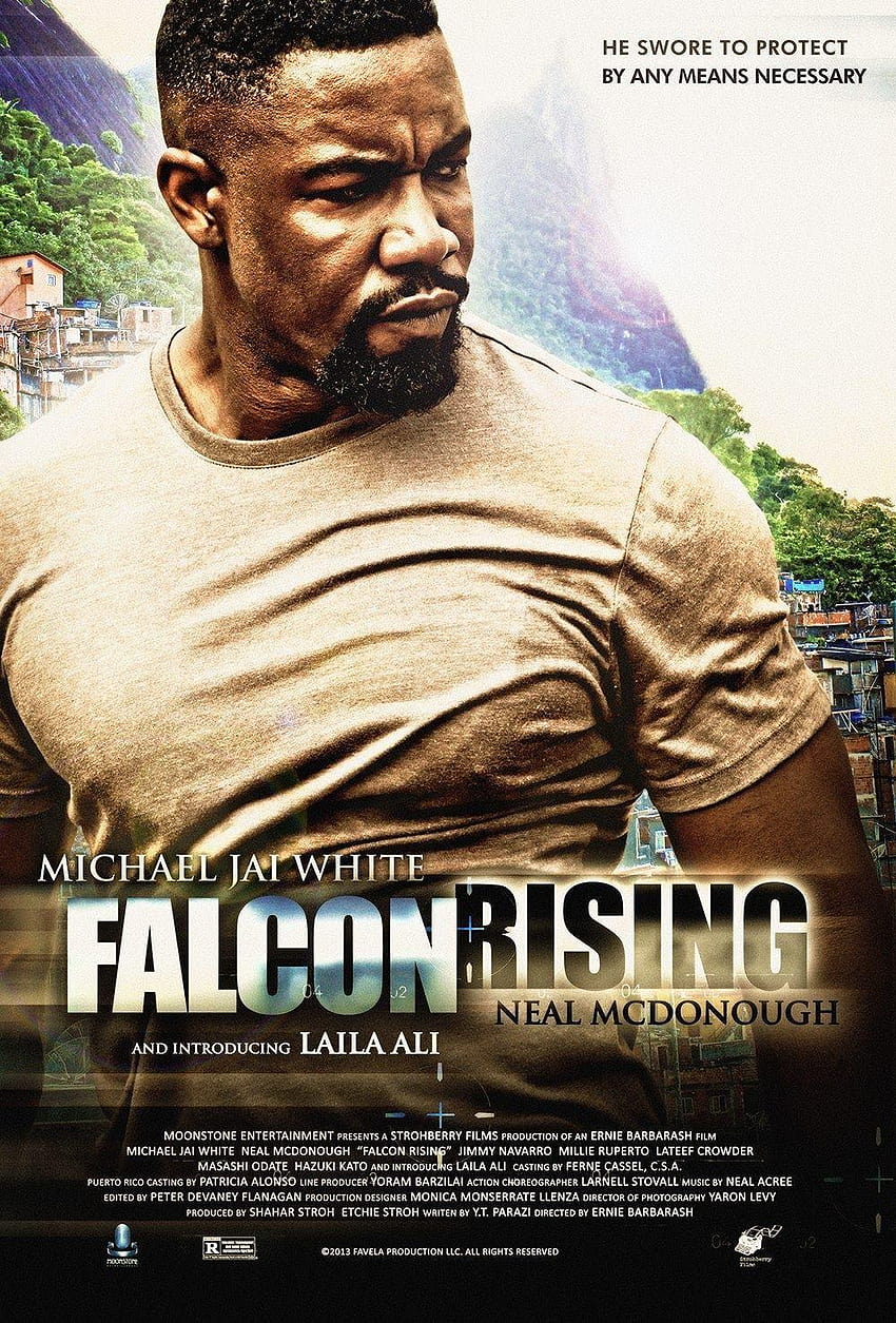 Falcon Rising protagonizada por Michael Jai White y Laila Ali, michael jai white android fondo de pantalla del teléfono