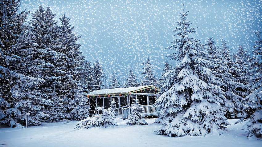 Snowy Christmas Backgrounds, winter scenes outside HD wallpaper