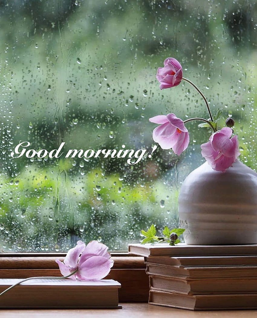 Rainy morning HD wallpapers | Pxfuel