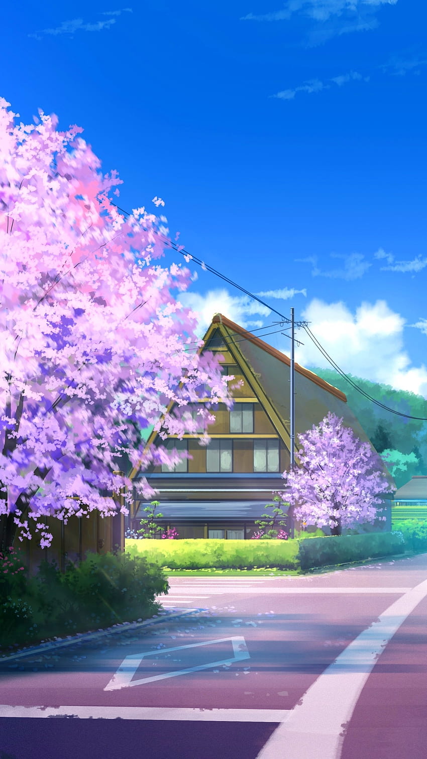 Anime Road, calle de la temporada de primavera de anime fondo de pantalla del teléfono