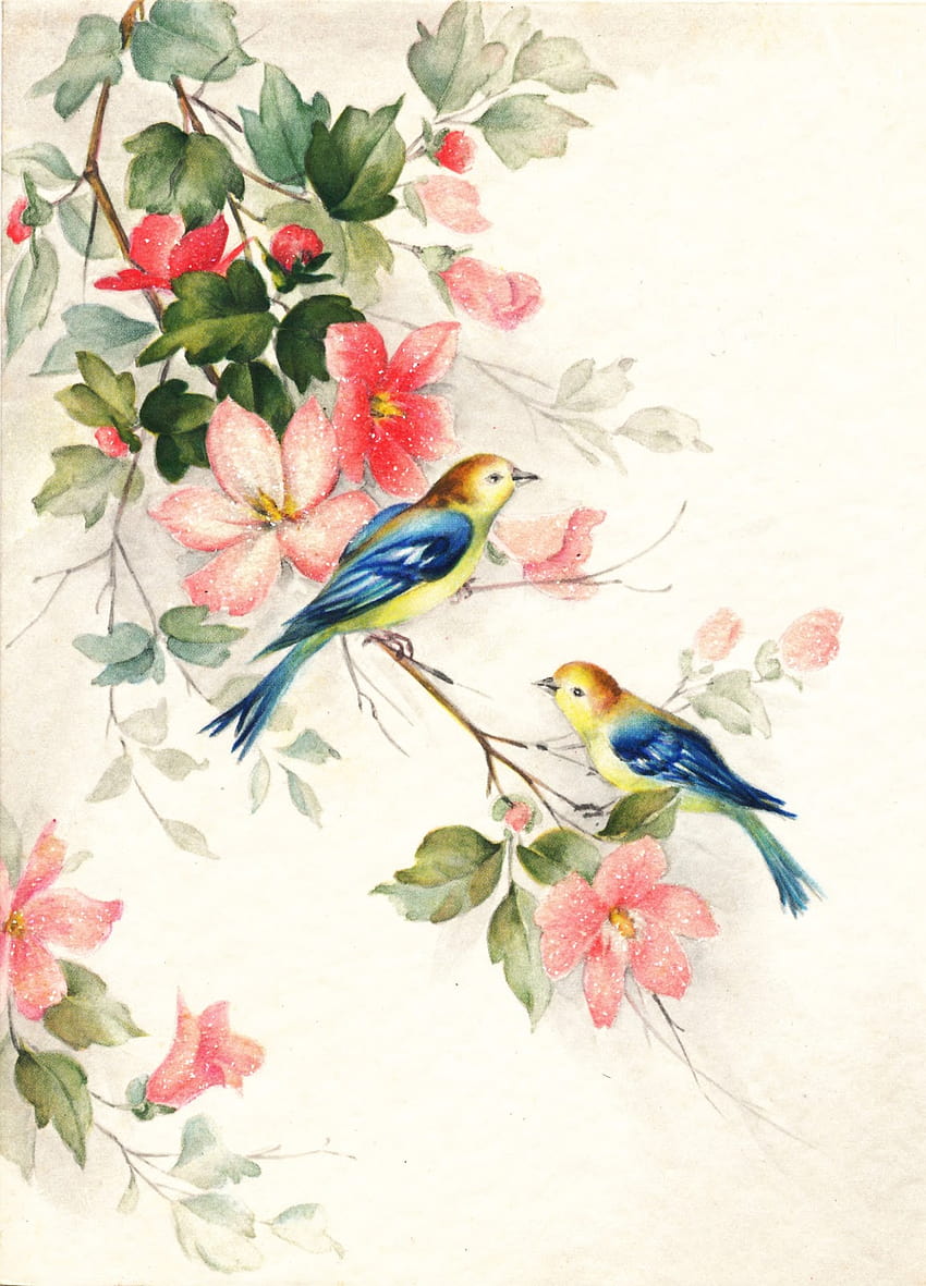 Collage Candy Bird de tarjetas de felicitación antiguas [1152x1600] para su, móvil y tableta, futuro pájaro fondo de pantalla del teléfono