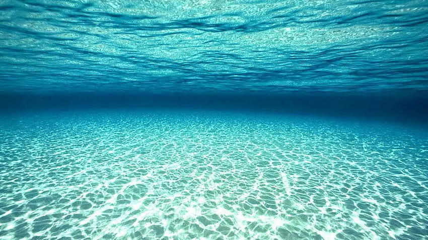 laut hidup,langit,cakrawala,badan air,laut,lautan,alam,gelombang,biru,air,matahari terbit,di dalam samudra Wallpaper HD
