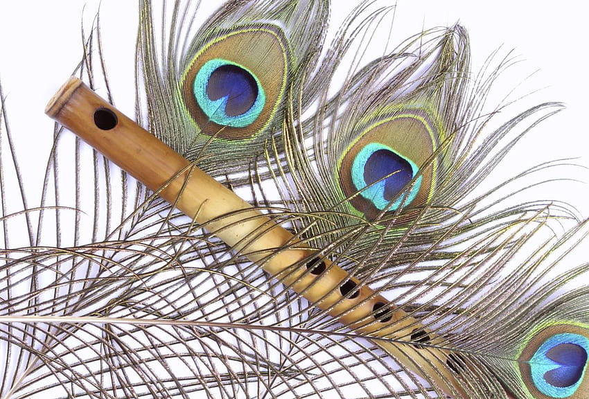 Cosa simboleggia una piuma di pavone nelle fedi di tutto il mondo?, flauto e piuma di pavone Sfondo HD