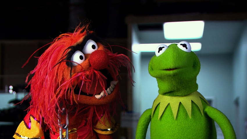 Muppets Most Wanted' Teaser Trailer, muppets animal HD wallpaper
