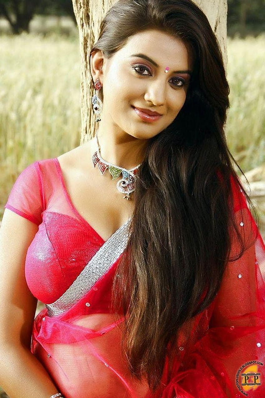 Sexy South Indian Actress in Saree | Welcomenri